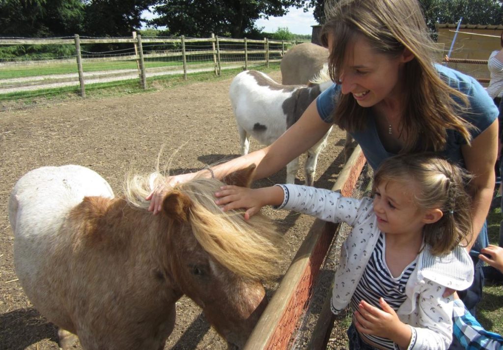 Boston Park Farm